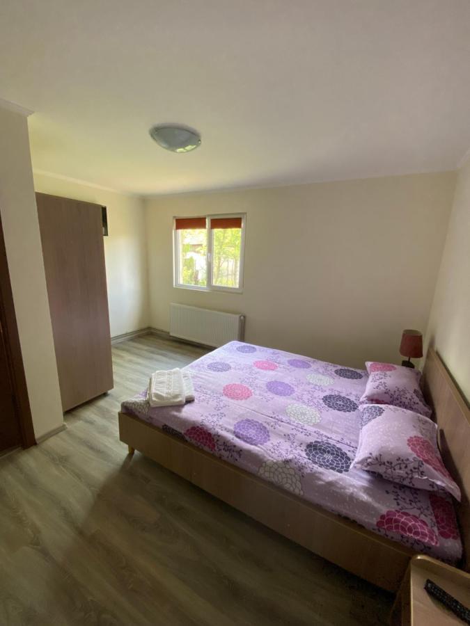 فيلا Casa Magda - Oaza De Relaxare Călimăneşti المظهر الخارجي الصورة