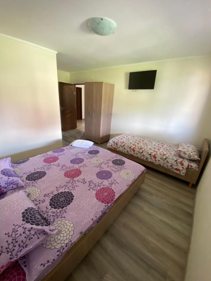 فيلا Casa Magda - Oaza De Relaxare Călimăneşti المظهر الخارجي الصورة