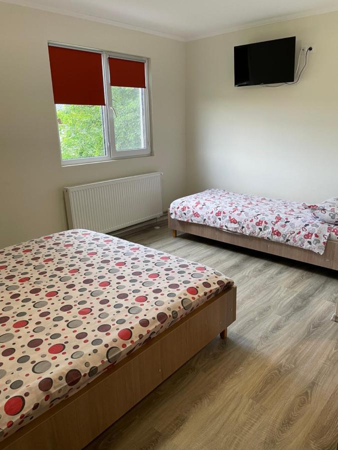 فيلا Casa Magda - Oaza De Relaxare Călimăneşti المظهر الخارجي الصورة