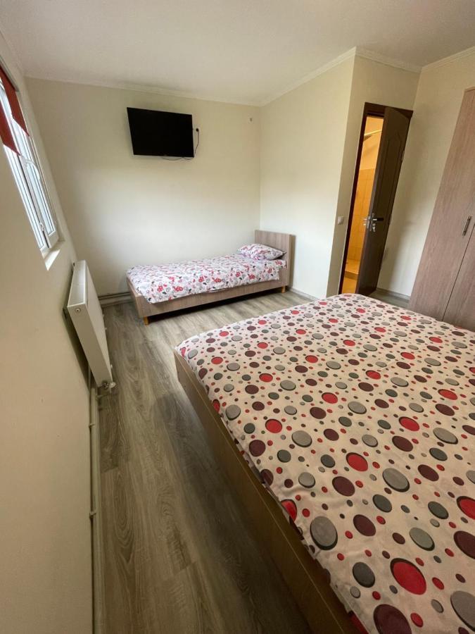 فيلا Casa Magda - Oaza De Relaxare Călimăneşti المظهر الخارجي الصورة
